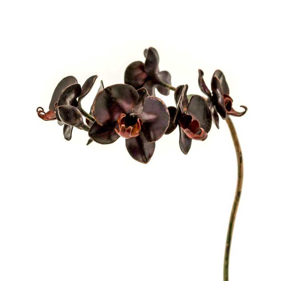 Purple Phalaenopsis Orchid #11 _ SOLD