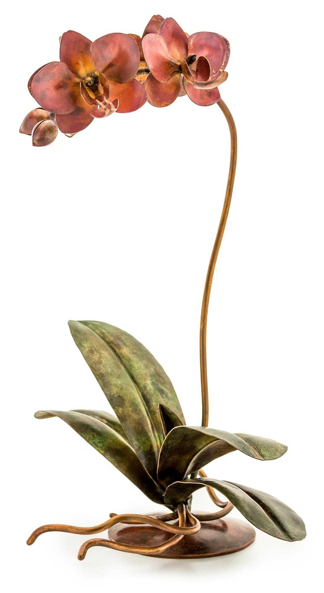 copper orchid CopperFlora