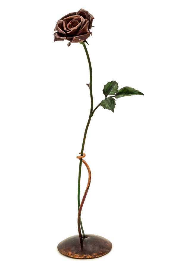 long stem rose CopperFlora
