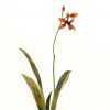 red copper orchid sculpture