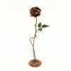 copper red rose