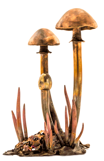 copperflora mushroom cluster
