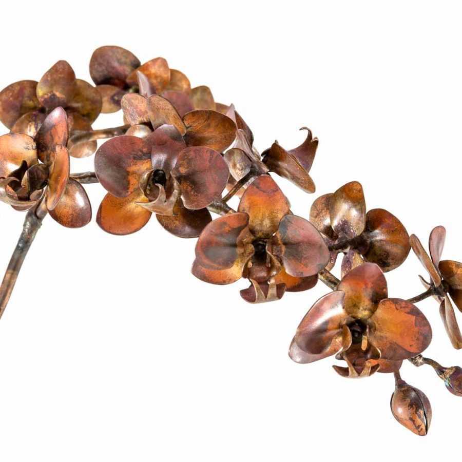 Branched Phalaenopsis #85