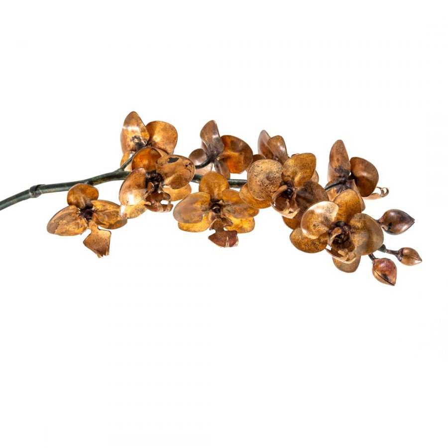 Copper Phalaenopsis #100 – SOLD