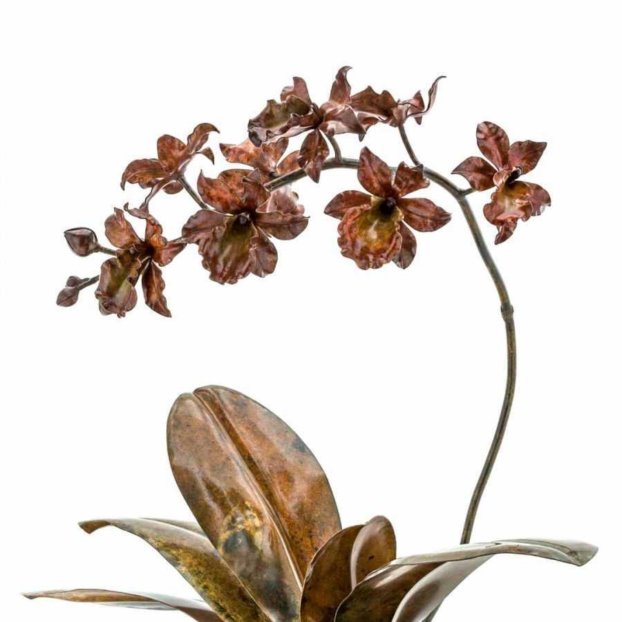 Red & Mustard Cymbidium Orchid #49