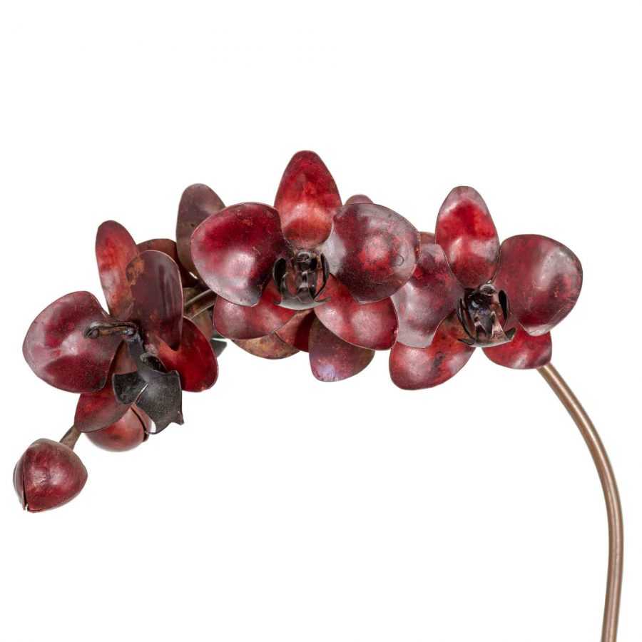 copper red phalaenopsis orchid sculpture