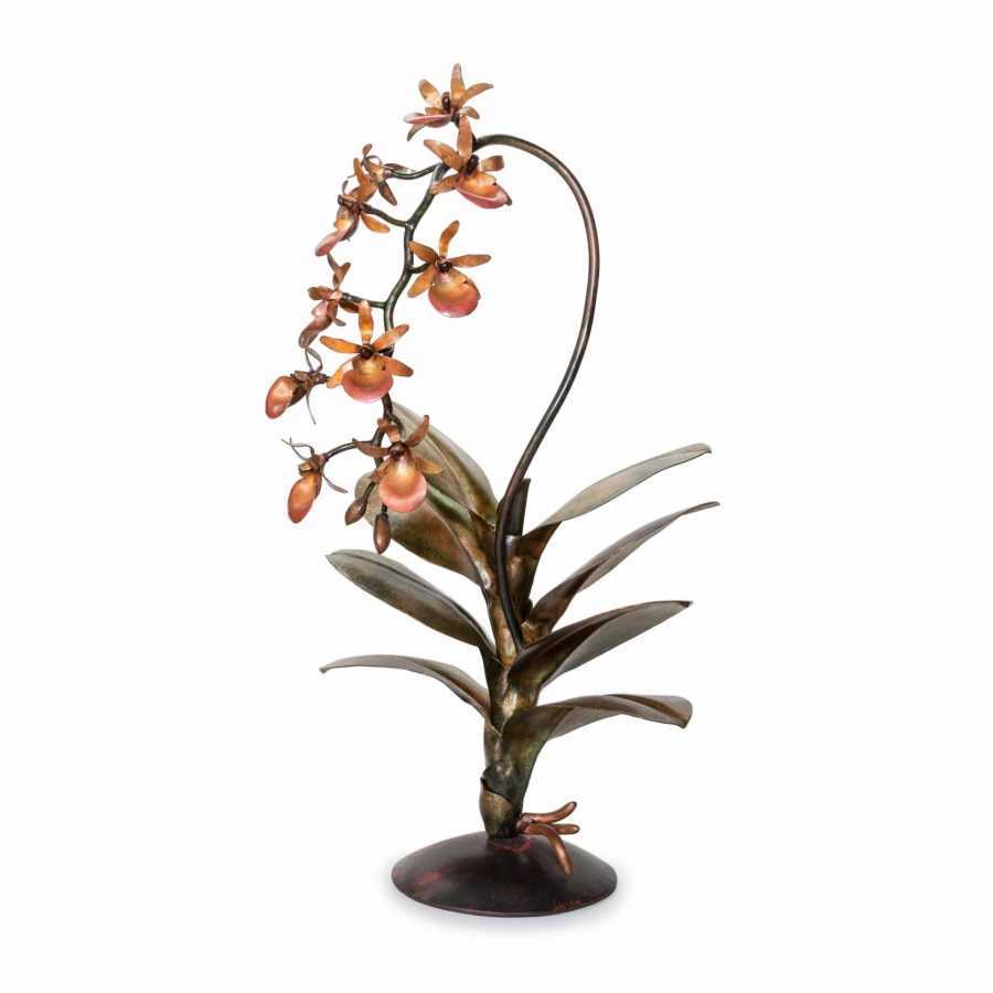 Coral cymbidium orchid #216