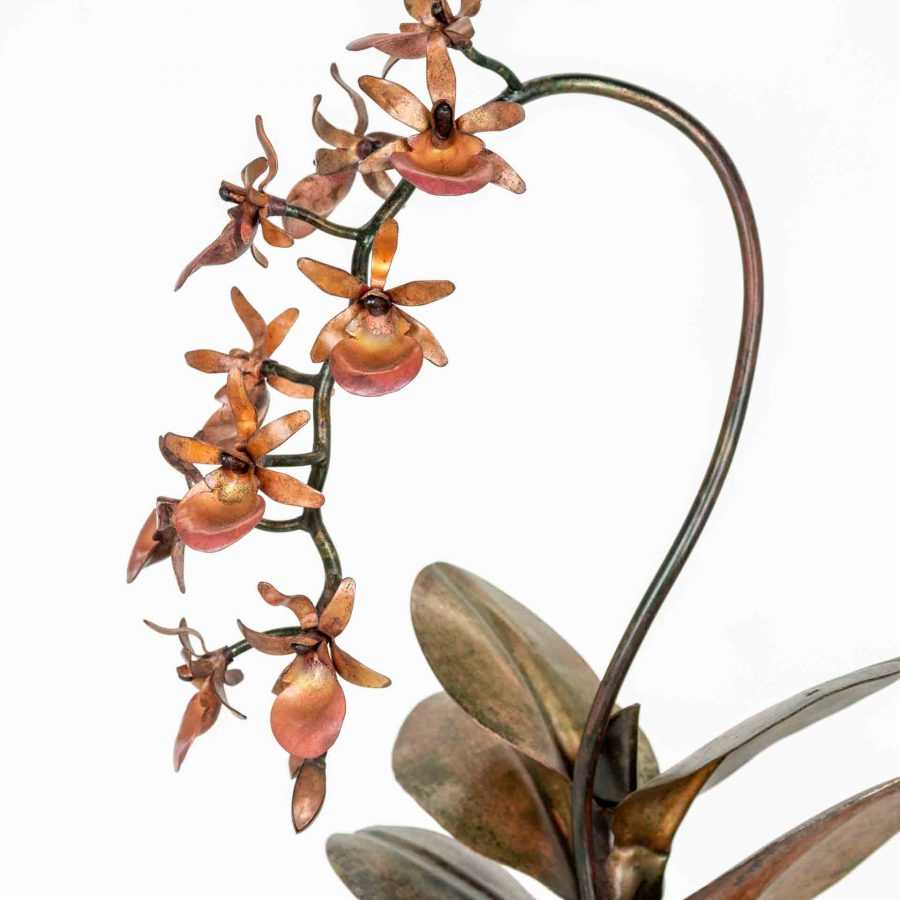 Coral cymbidium orchid #216
